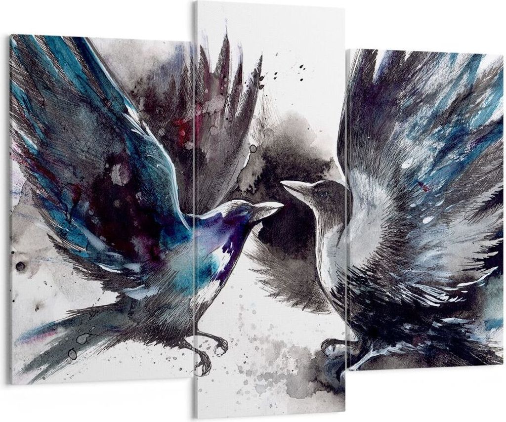 Bild auf Leinwand - Leinwandbild - Vogel Natur Feder - Produktbild 