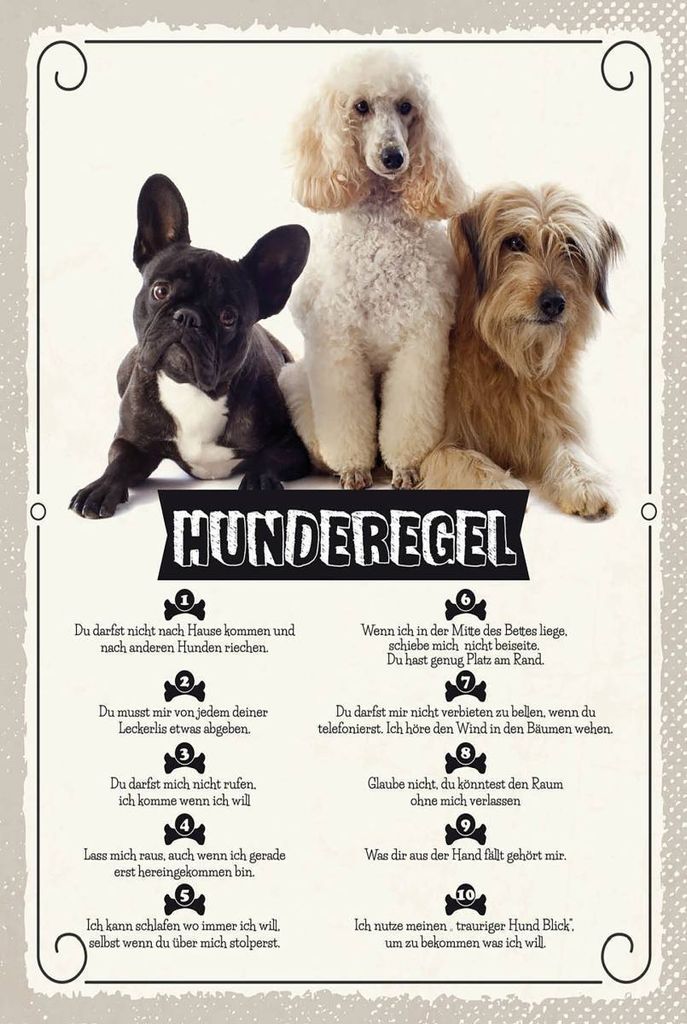 vianmo Holzschild 18x12 cm Hunderegel schlafen wo ich will