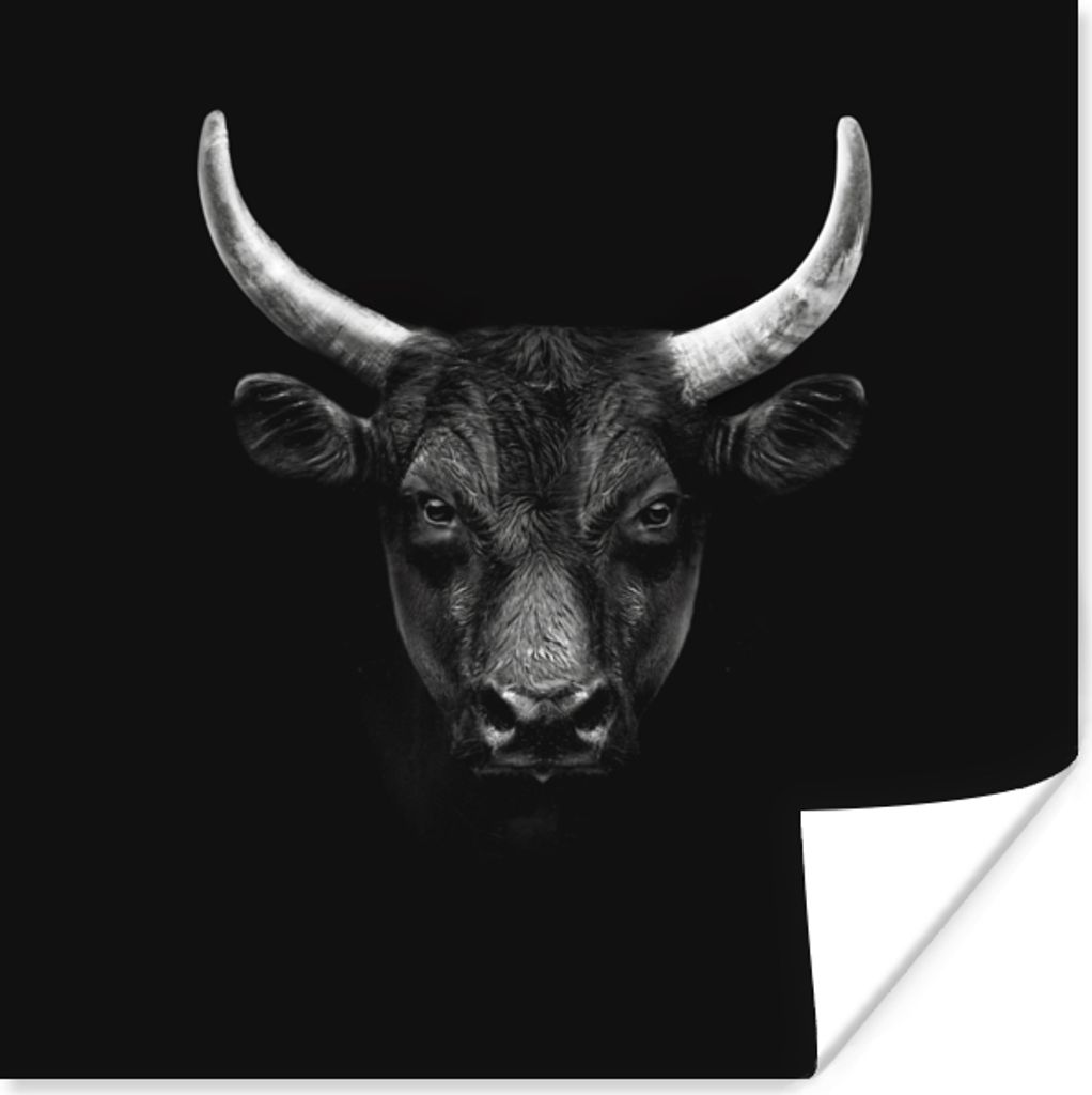 MuchoWow Poster Tiere - Stier - Schwarz - Weiß - Porträt 75x75 cm - Wand Dekoration