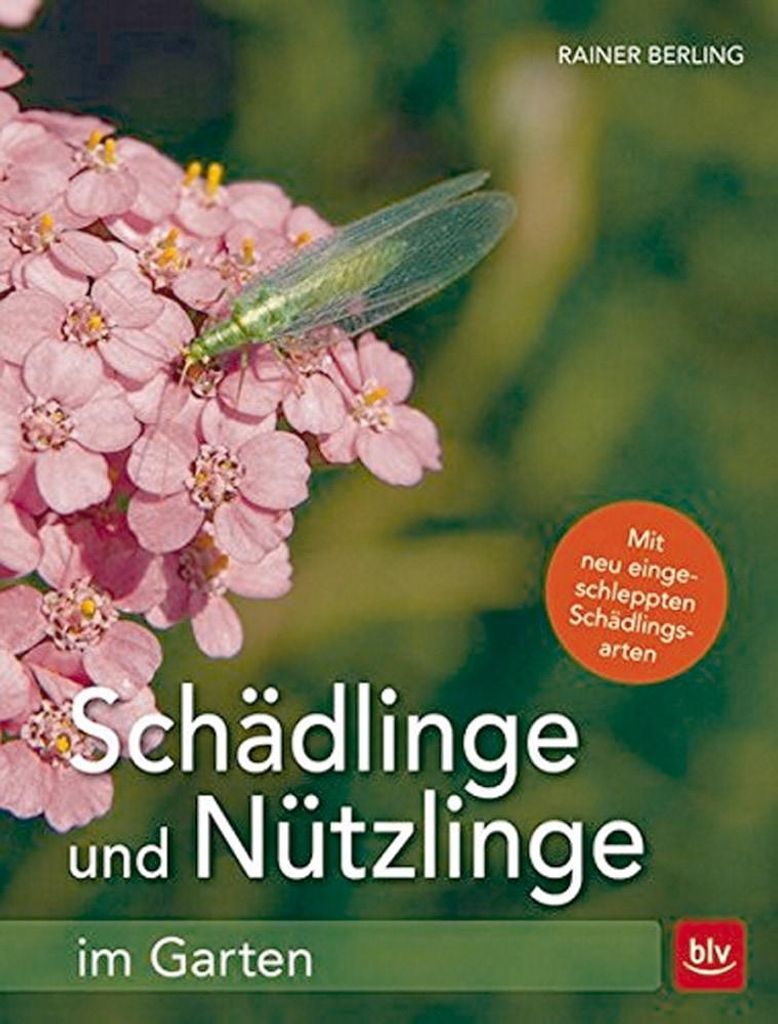 Schädlinge und Nützlinge im Garten