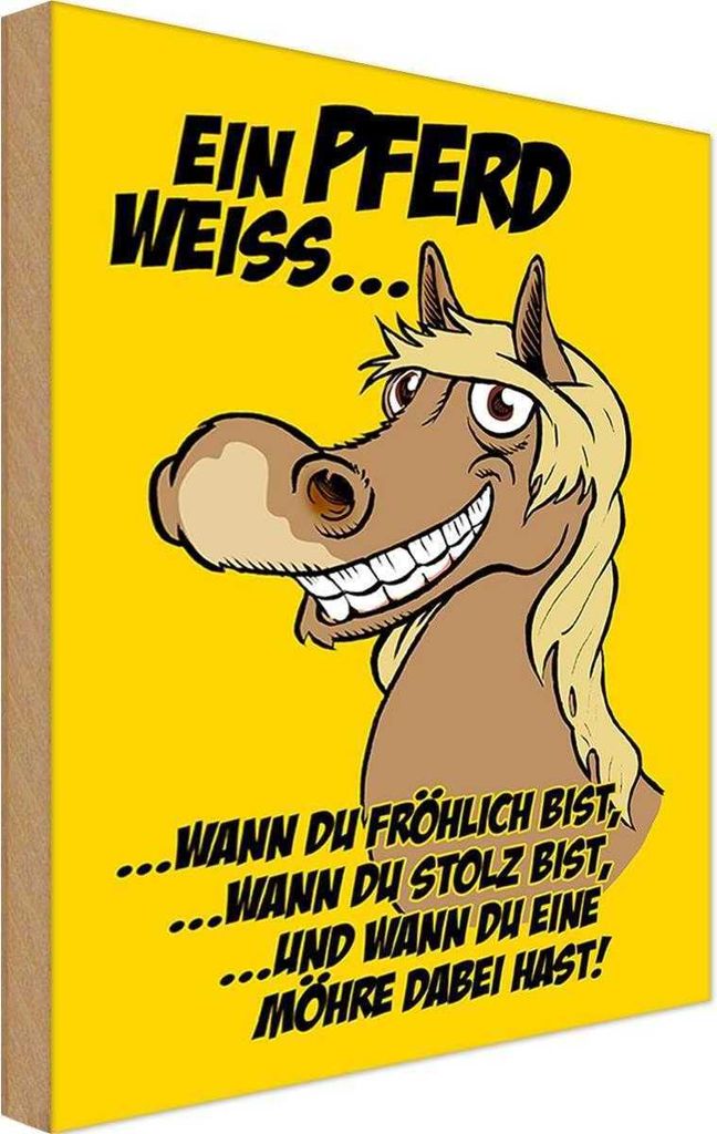 vianmo Holzschild 30x20 cm Ein Pferd weiss wann fröhlich Tier Haustier