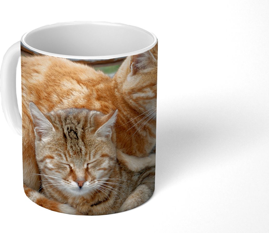 MuchoWow Tasse Kaffeetasse Kaffeebecher 350 ml Katzen - Bank - Holz Teetasse - Fototasse - Becher - Keramikbecher - Teebecher - Kaffeetasse - Bü...