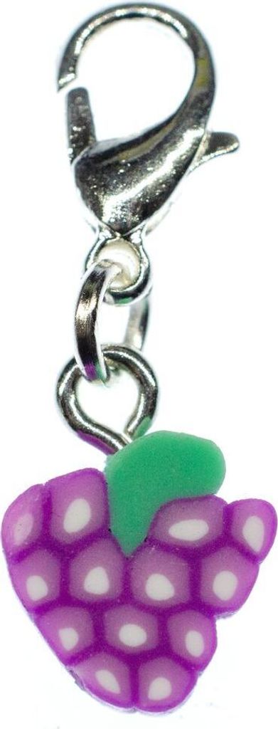 Trauben Charm Miniblings Zipper Pull Anhänger Weintraube Obst Scheibe lila