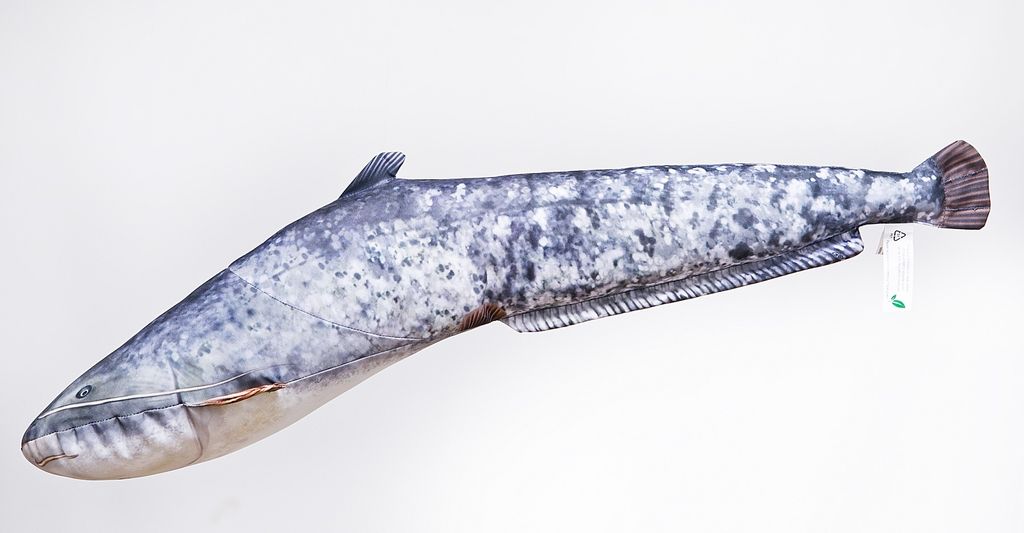 Cuscino Energoteam Catfish Oro Oro Taglia Unica Immagine del prodotto 