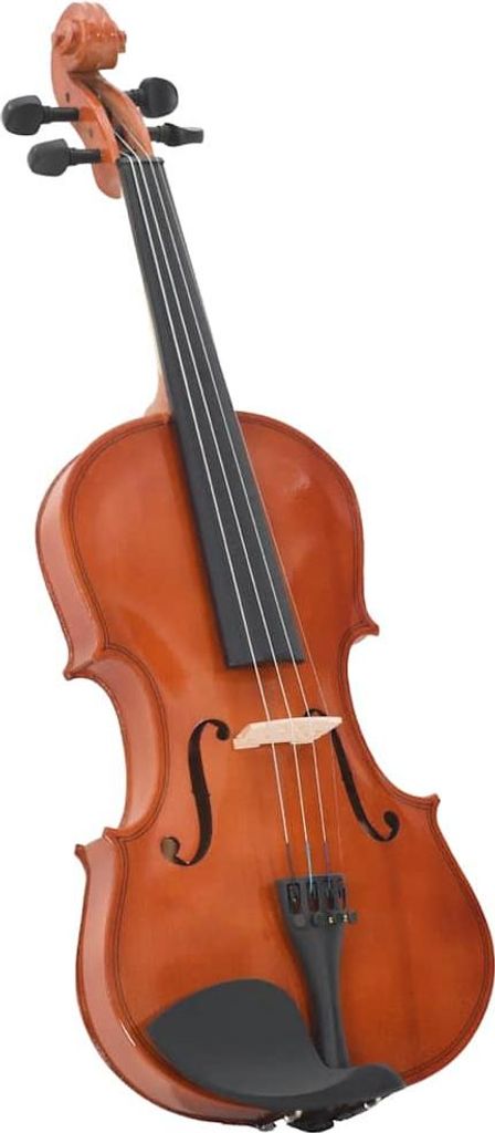 A violin on a white background.