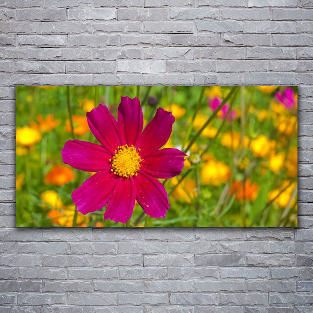 Glasbilder 120x60 Wandbild Druck auf Glas Blume Pflanzen