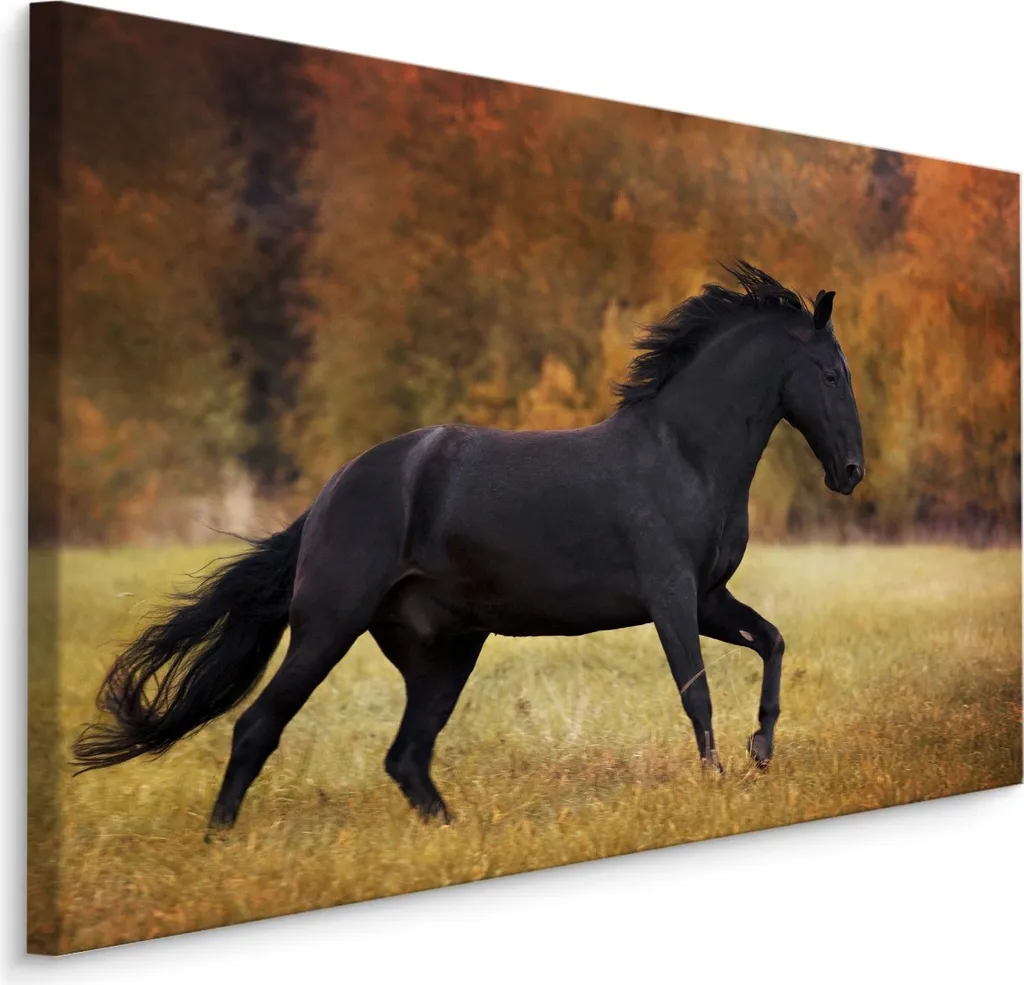 Favolosa carta da parati su tela 90x60 cm XXL stampa d'arte animali cavallo mustang autunno