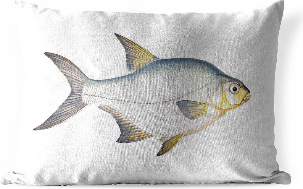 MuchoWow Outdoor Kissen - Fisch - Kolonie Realismus - 50x30 cm - Wetterfest - Lounge Kissen - Sofa kissen - Wohnzimmer Dekoration