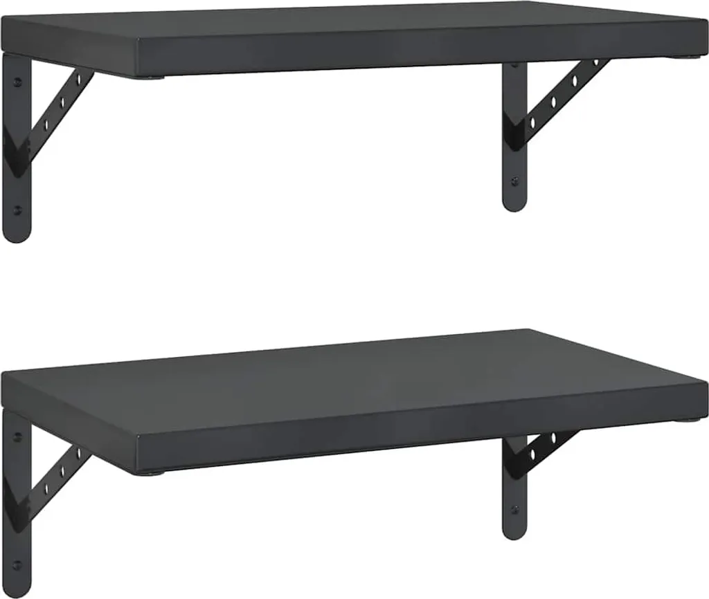 Mensole Professionali Acciaio Inox Nero 50x30 cm vidaXL - 2 Pezzi
