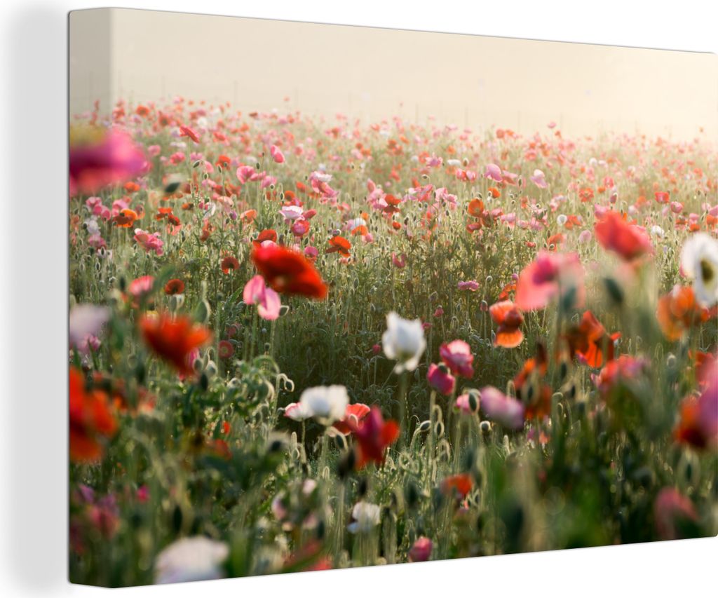 OneMillionCanvasses - Leinwandbilder - 150x100 cm, Mohn - Farben - Pastell, Wandbilder Kunstdruck Wanddekoration