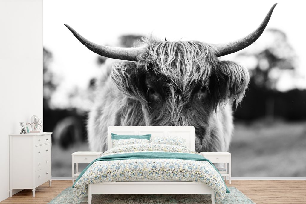 MuchoWow Fototapete für Wohnzimmer oder Schlafzimmer Wandtapete Vinyl Motivtapete Schottischer Highlander - Kuh - Gras - Tiere - Natur - 330x220...