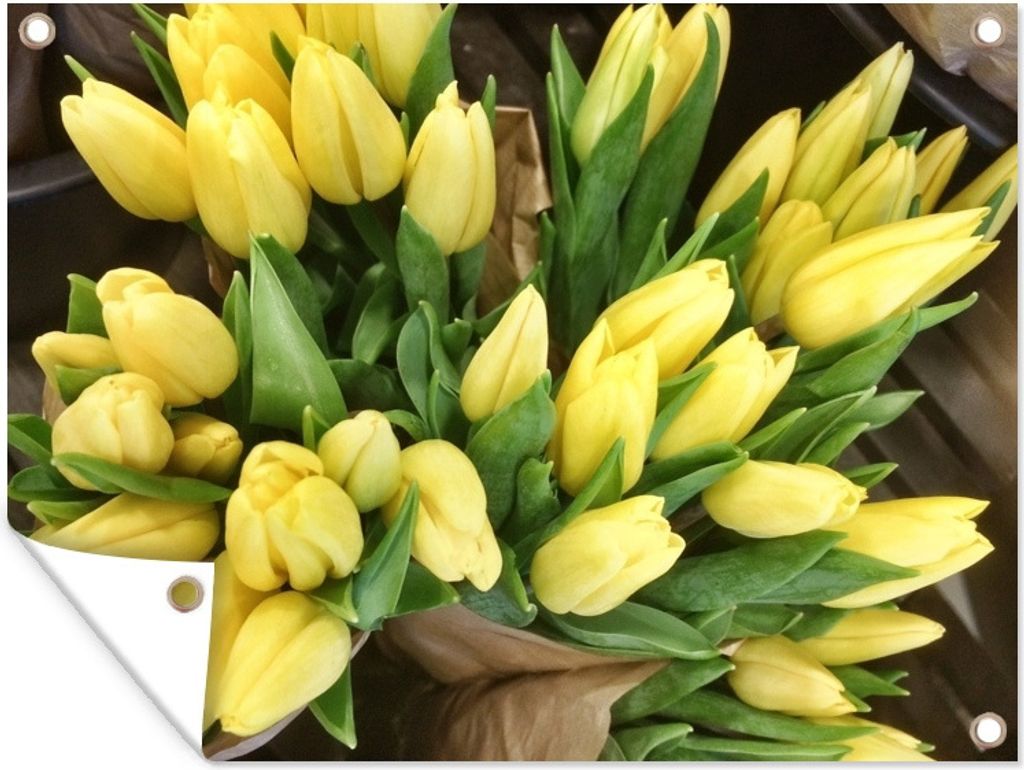 MuchoWow 80x60 cm Outdoor-Poster Gartendeko Sichtschutz Garten Poster für den Garten Blumenstrauß aus gelben Tulpen