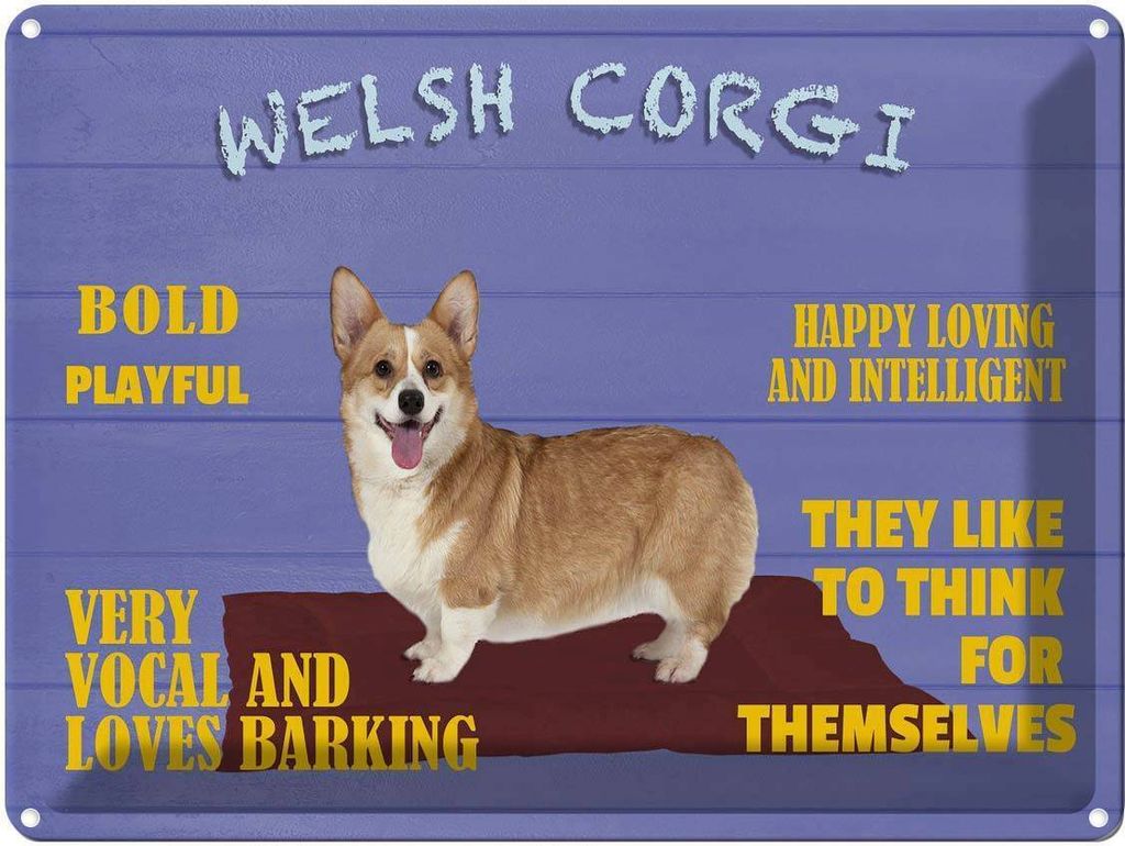 vianmo Blechschild 30x40 cm Welsh Corgi Hund bold playful