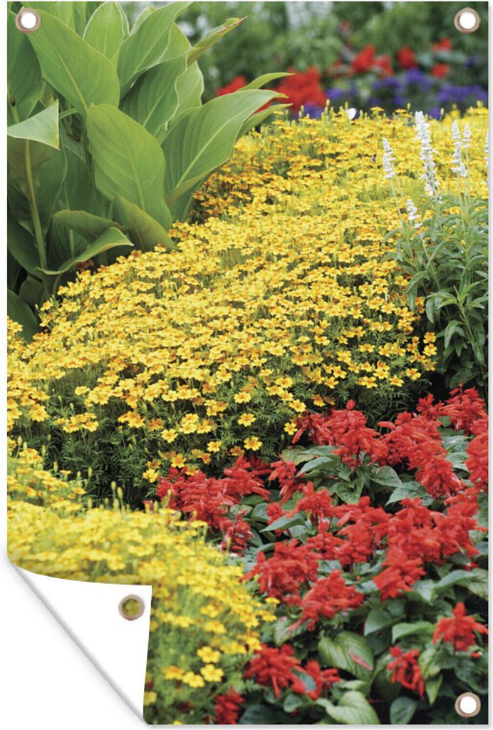 MuchoWow 40x60 cm Outdoor-Poster Gartendeko Sichtschutz Garten Poster für den Garten Bunte Canna-Blüten in einem Garten