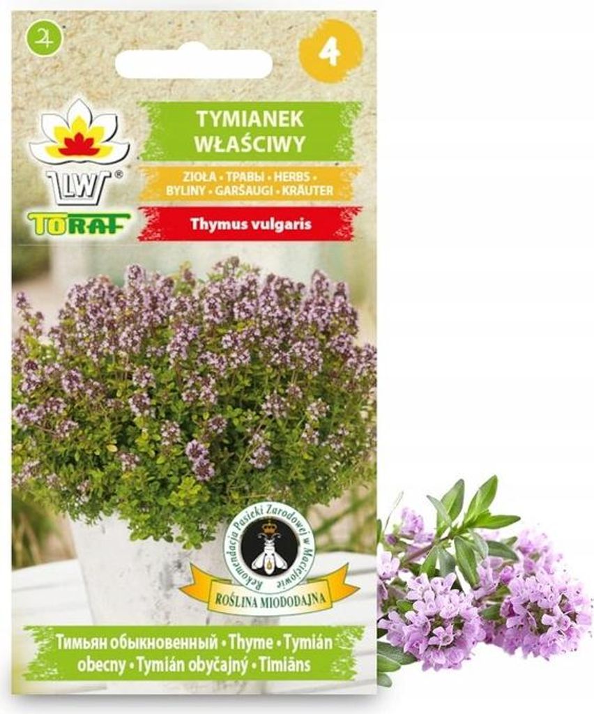 Tymián Real Herb Seeds Aromatické korenie 0,3G Obrázok produktu 