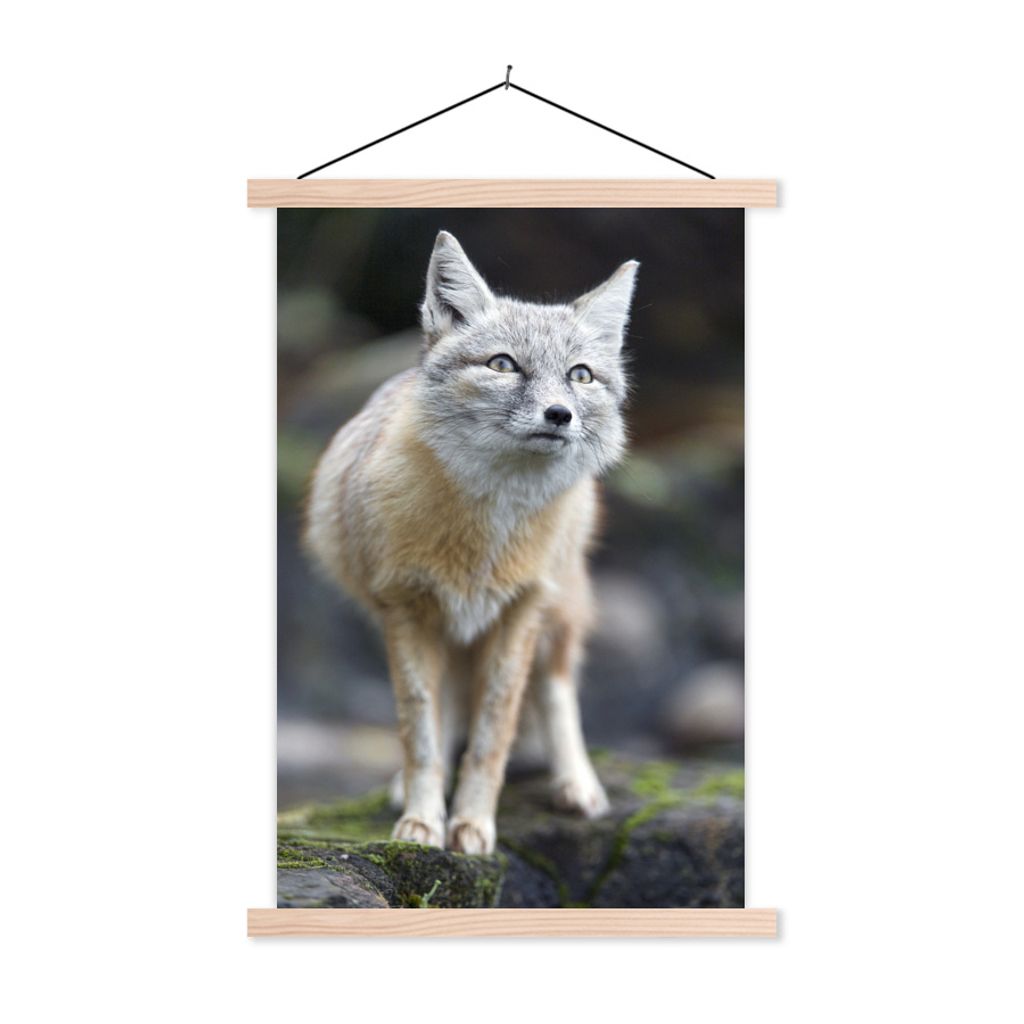MuchoWow Textilposter Fuchs - Makro - Baum 40x60 cm mit holzfarbenen Rahmen - Poster