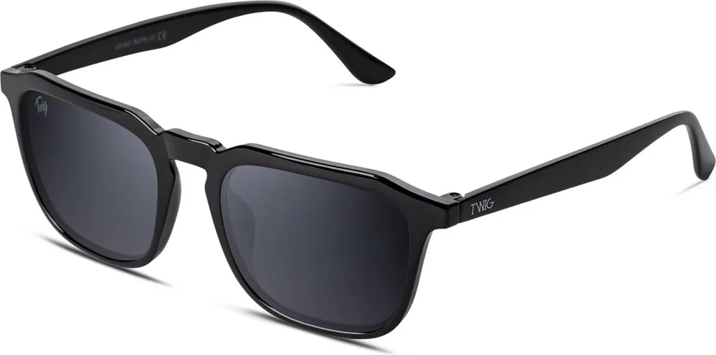 Eleganza Essenziale: Occhiali TWIG Roth RTH01 Nero Universale