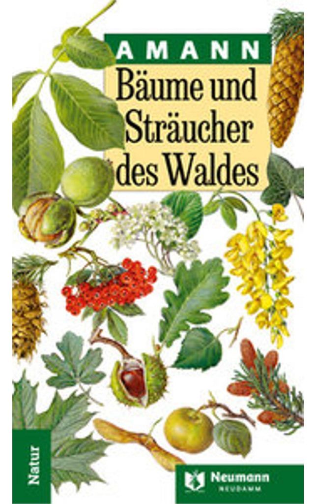 Bäume und Sträucher des Waldes Immagine del prodotto 