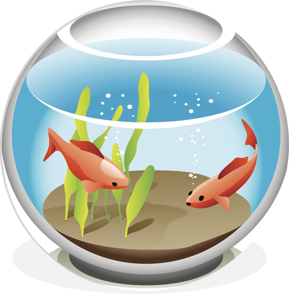 MuchoWow - Wand Kreis - Das Schlafzimmer - Die Bilder - Wandmalerei - Kunst für das Haus - das Plastik