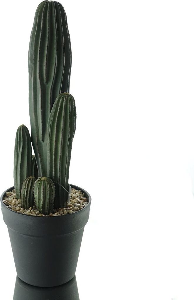 DPI Kakteengruppe im Kunststofftopf 40 cm - Kunstblumen Produktbild 