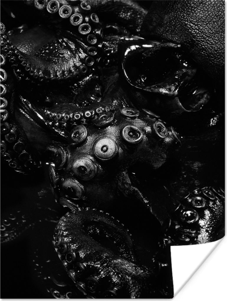 MuchoWow Poster Nahaufnahme Oktopus auf schwarzem Hintergrund in schwarz und weiß 30x40 cm - Wandplakat - Poster Kinderzimmer