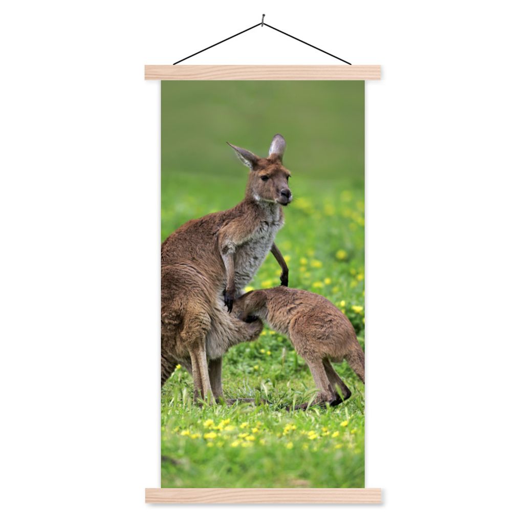 MuchoWow Textilposter Känguru - Blumen - Jung 40x80 cm mit holzfarbenen Rahmen - Wohnzimmer