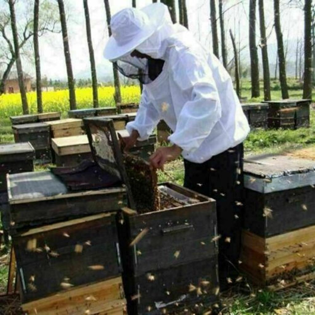 Beekeepers Schutzanzug Imkerjacke Hut Schleier Imker Jacke Imkerei+Handschuhe 