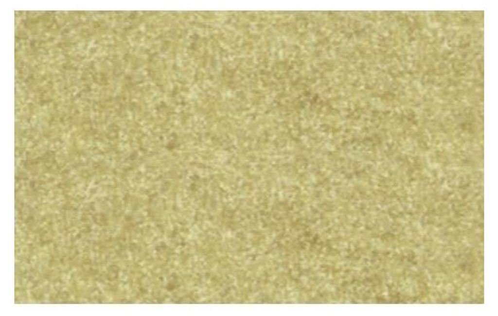 Elefantenhaut 110g/qm A3 VE=10 Blatt chamois Produktbild 