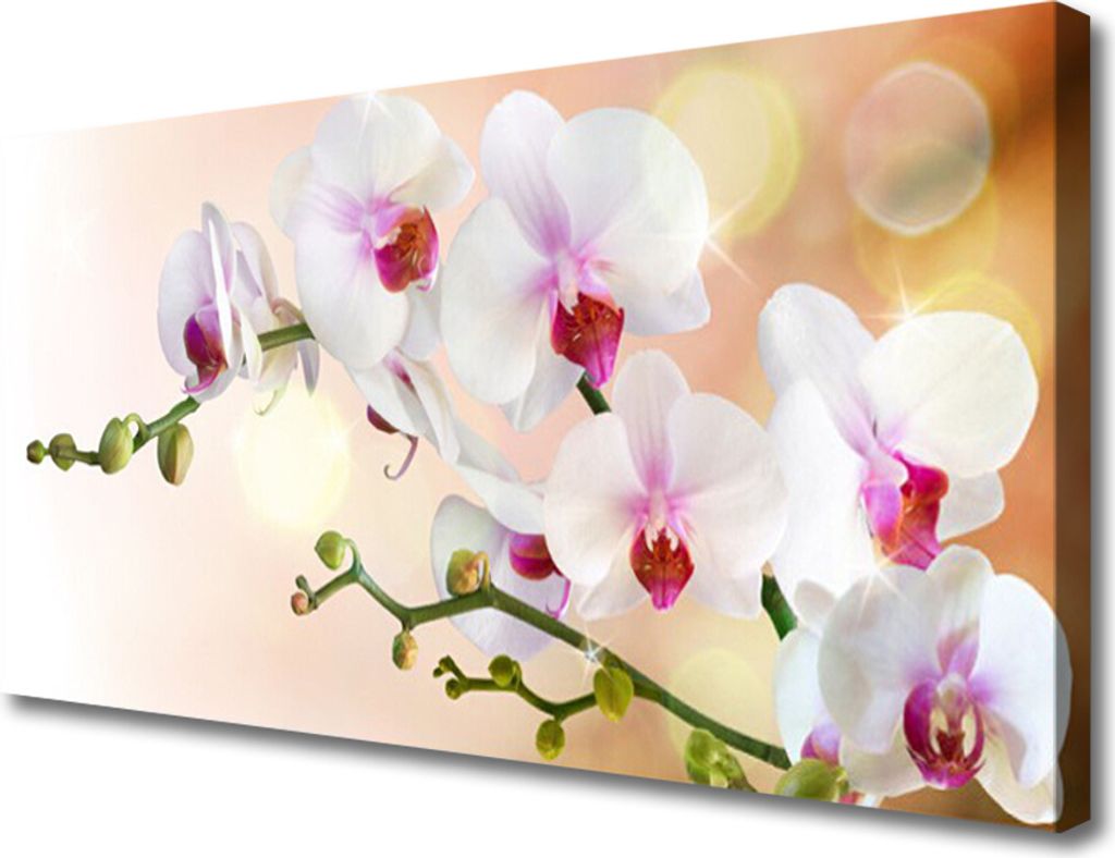 Tulup Leinwand-Bilder 100x50 Wandbild Canvas Kunstdruck Blumen Pflanzen