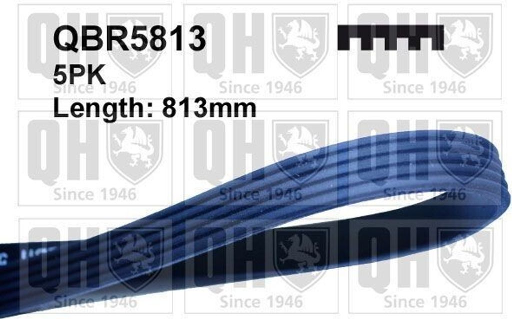 QUINTON HAZELL Keilrippenriemen 813mm für BMW 3 Limousine (E46) QBR5813