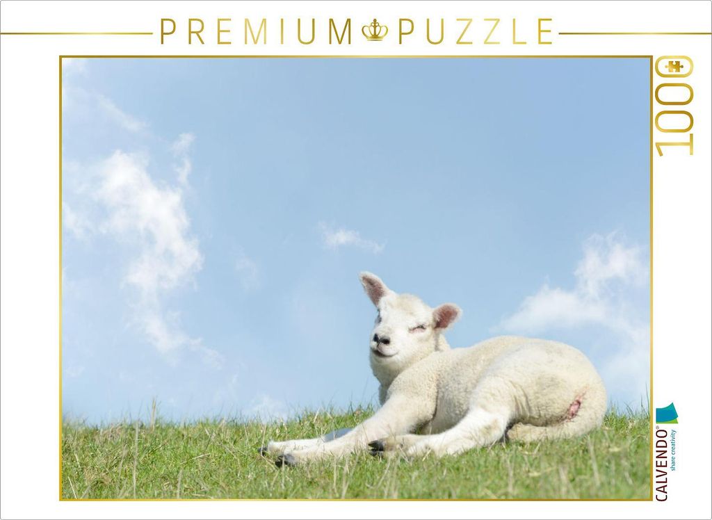 CALVENDO Puzzle Lämmchen liegt auf dem Deich | 1000 Teile Lege-Größe 64x48cm Foto-Puzzle für glückliche Stunden