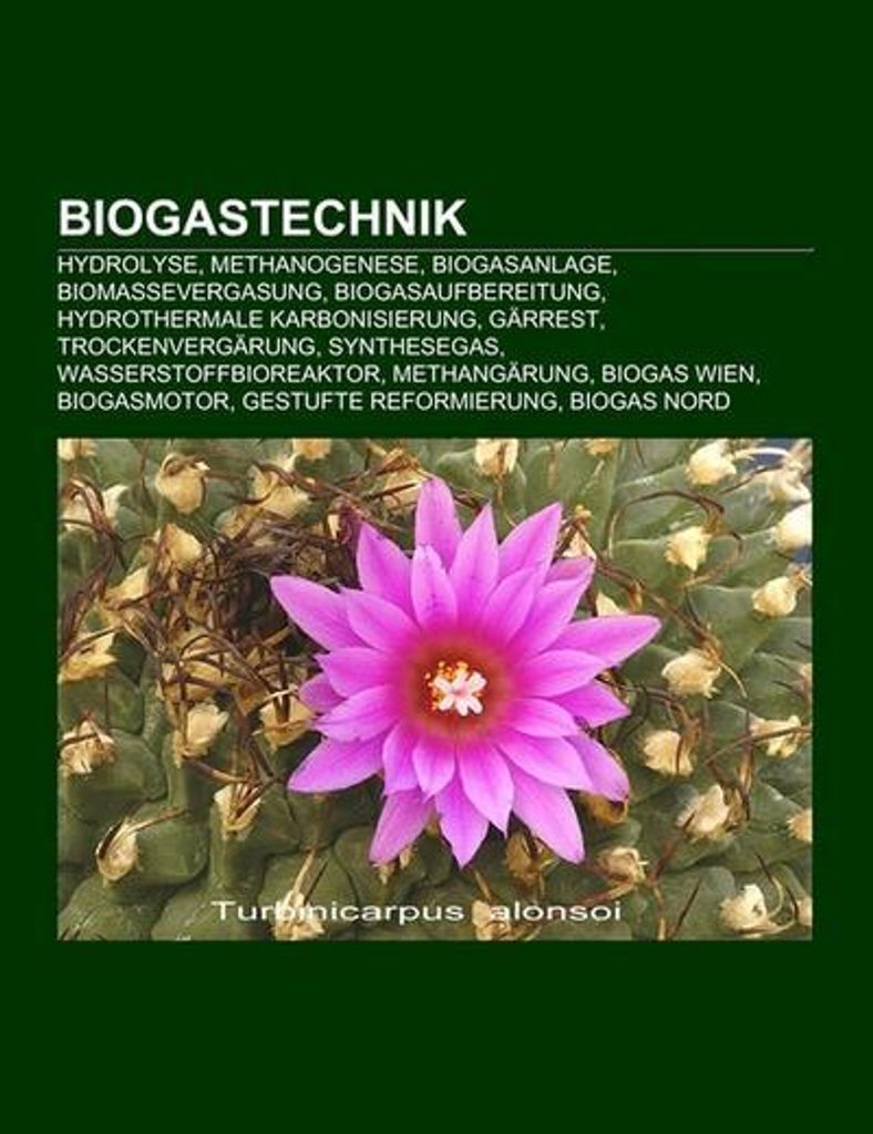 Biogastechnik