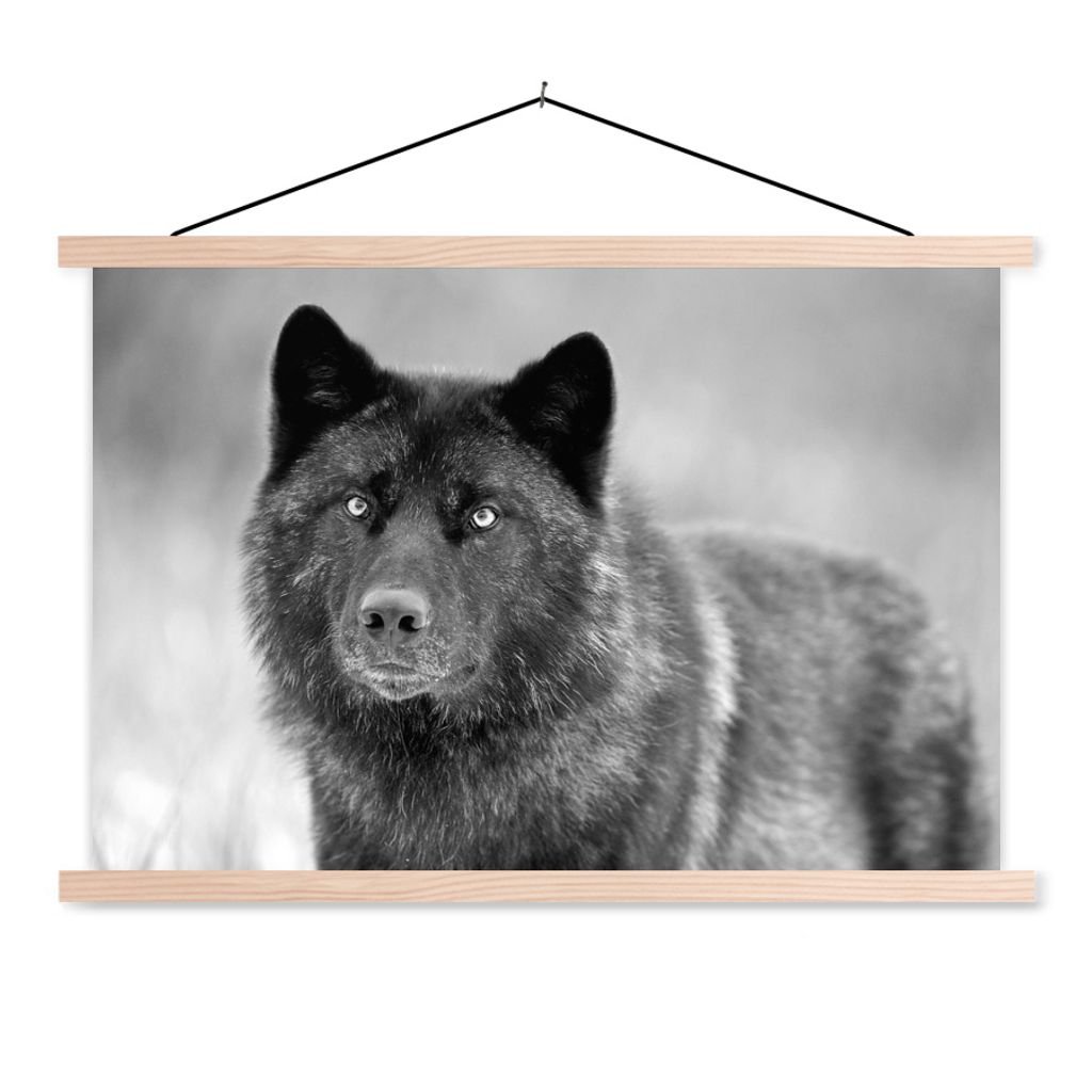 MuchoWow Textilposter Wolf - Nahaufnahme - Schwarz - Weiß 120x80 cm mit holzfarbenen Rahmen - Aufhängeset