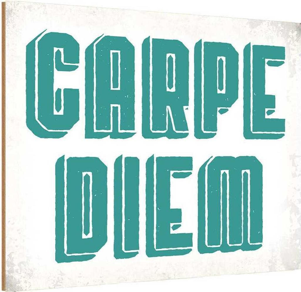 vianmo Holzschild 12x18 cm carpe diem nutze dein Tag Spruch Zitat