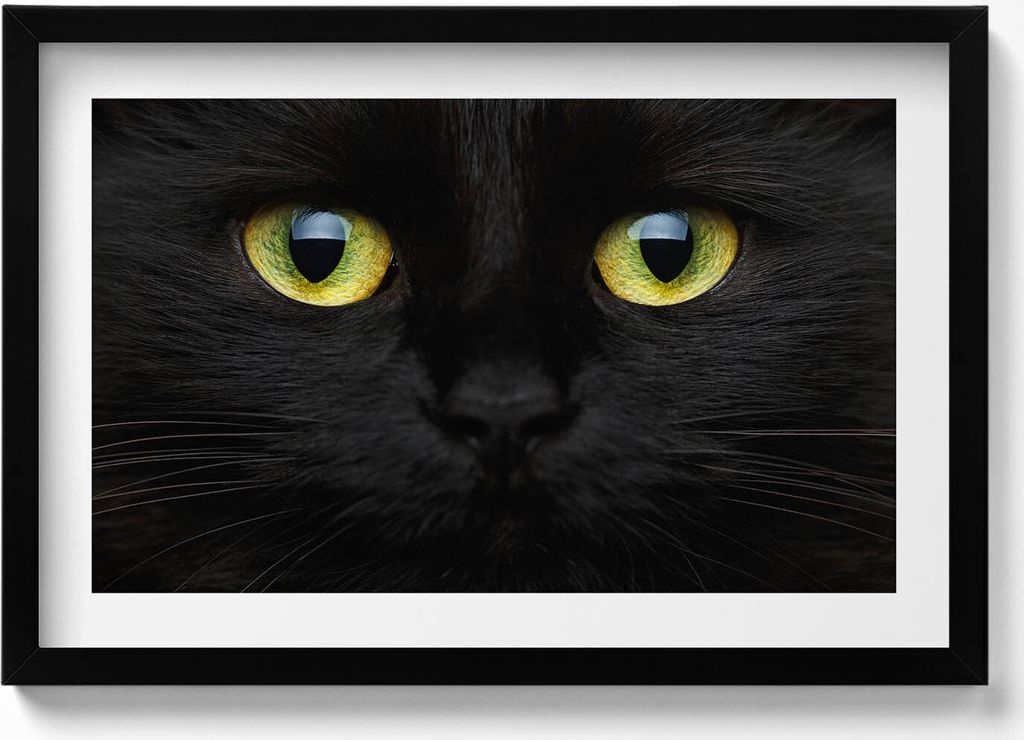 Tierische Katzenaugen– Wandbild mit Rahmen – Gerahmtes Bild – Wanddekoration – 60x40 cm – Schwarz Rahmen