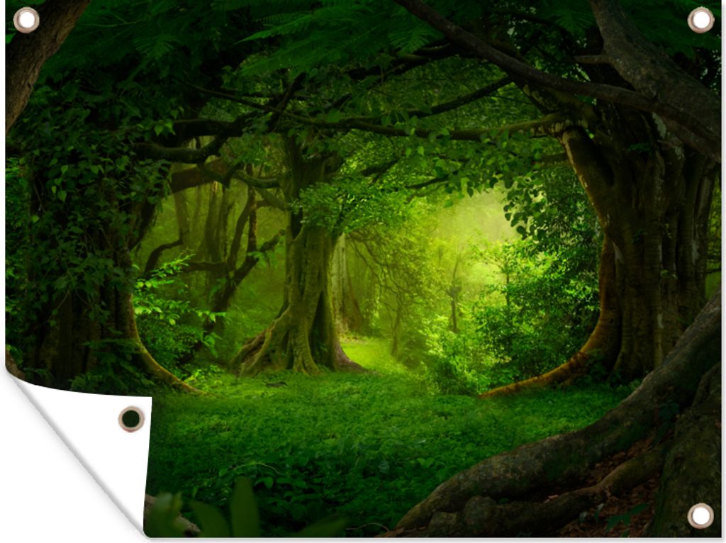 MuchoWow 80x60 cm Outdoor-Poster Gartendeko Sichtschutz Garten Poster für den Garten Bäume - Wald - Grün - Landschaft - Natur