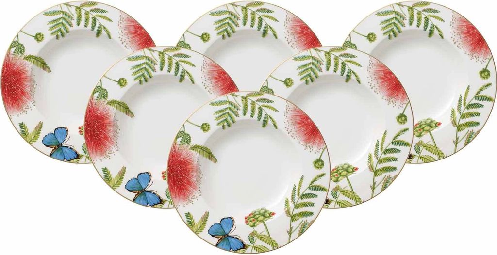 Villeroy & Boch Amazonia Anmut Suppenteller ø 24,6 cm 6er Set