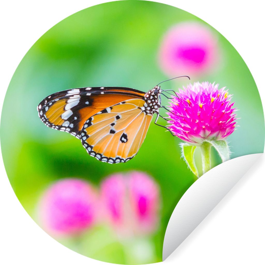 MuchoWow Runde Wandtattoo - Wandsticker Tapete Aufkleber Landleben - Schmetterling - Distel - Blume Ø 80 cm Selbstklebend und Repositionierbar -...