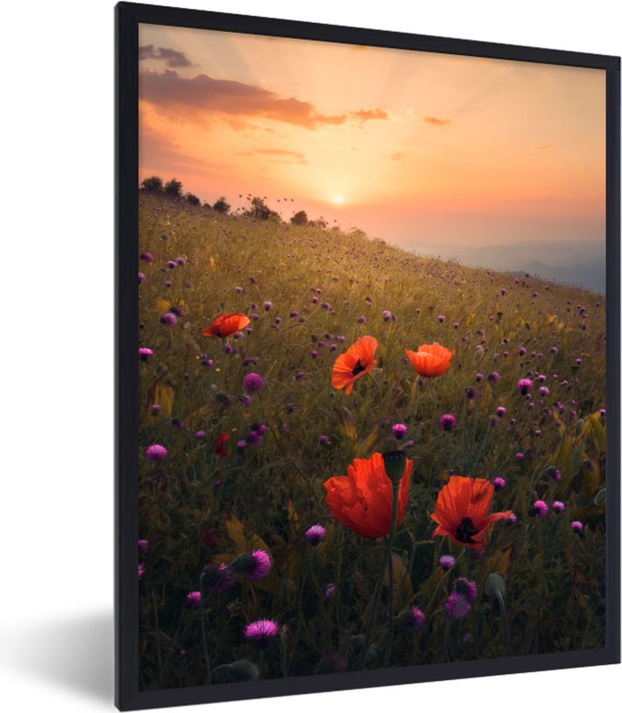 MuchoWow Gerahmtes Poster Blumenfeld - Gras - Pflanzen - Sonnenuntergang - Orange 60x80 cm - Poster mit Schwarzem Bilderrahmen Wandposter Rahmen ...
