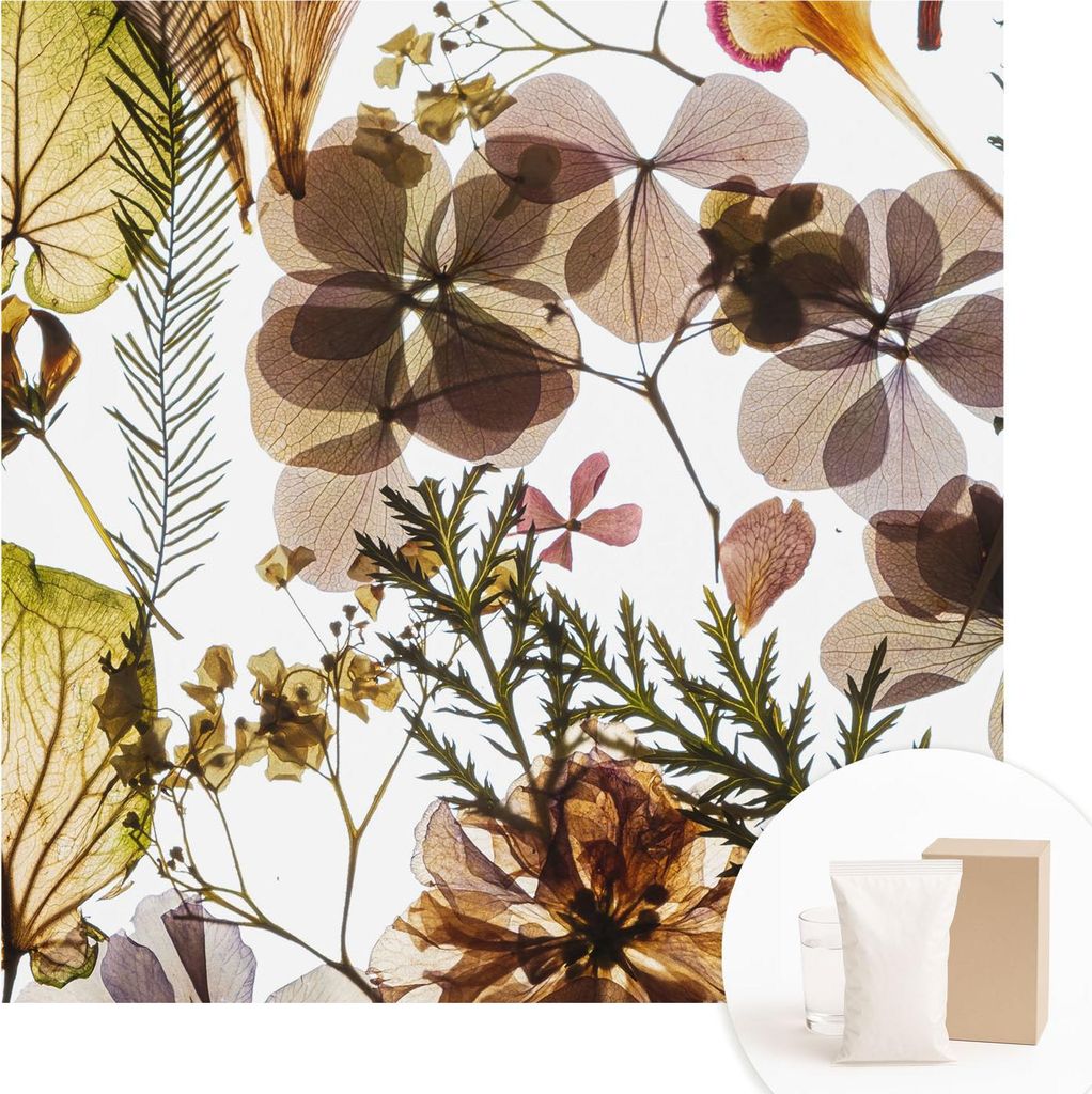 Fototapete - Wandbilder für Wohnzimmer - 250x250 cm - Dekorative Wandfolie - Modernes Design für Wanddekoration - Tapeten für Innenräume - Nat...