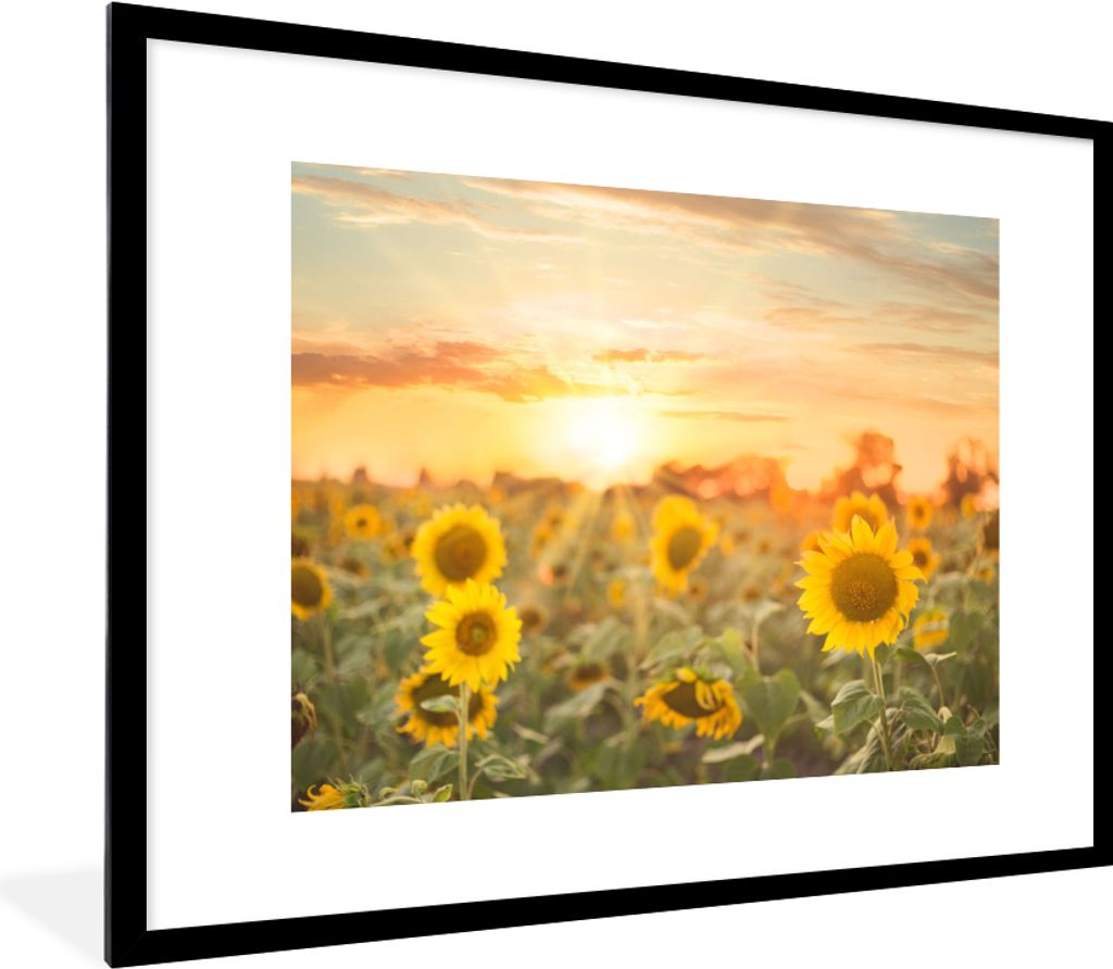 MuchoWow Gerahmtes Poster Sonnenblume - Sonne - Blumen 80x60 cm - Poster mit Schwarzem Bilderrahmen Wandposter Rahmen Foto Bilder - Schlafzimmer-...