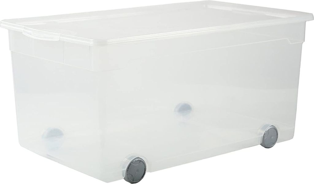 Rotho Clearbox 7670094094 Immagine del prodotto 