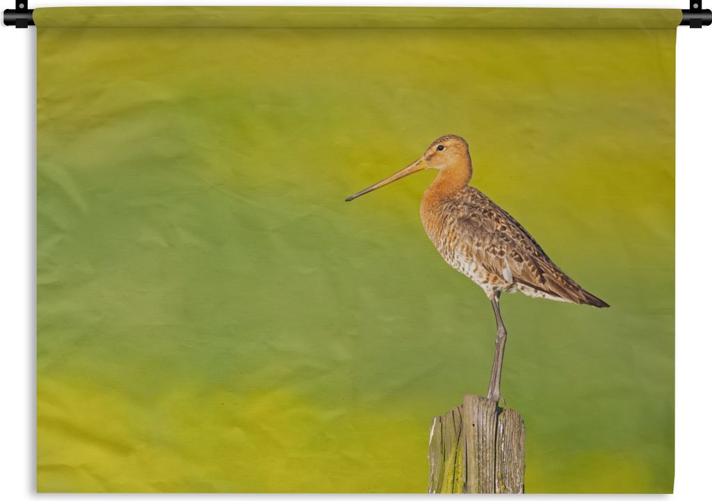 MuchoWow Wandteppich Wandbehang Vogel - Tiere - Uferschnepfe - Pfahl - Grün 150x112.50 cm Tapisserie Dekoration Wandtuch - Wanddecke - Wandteppiche