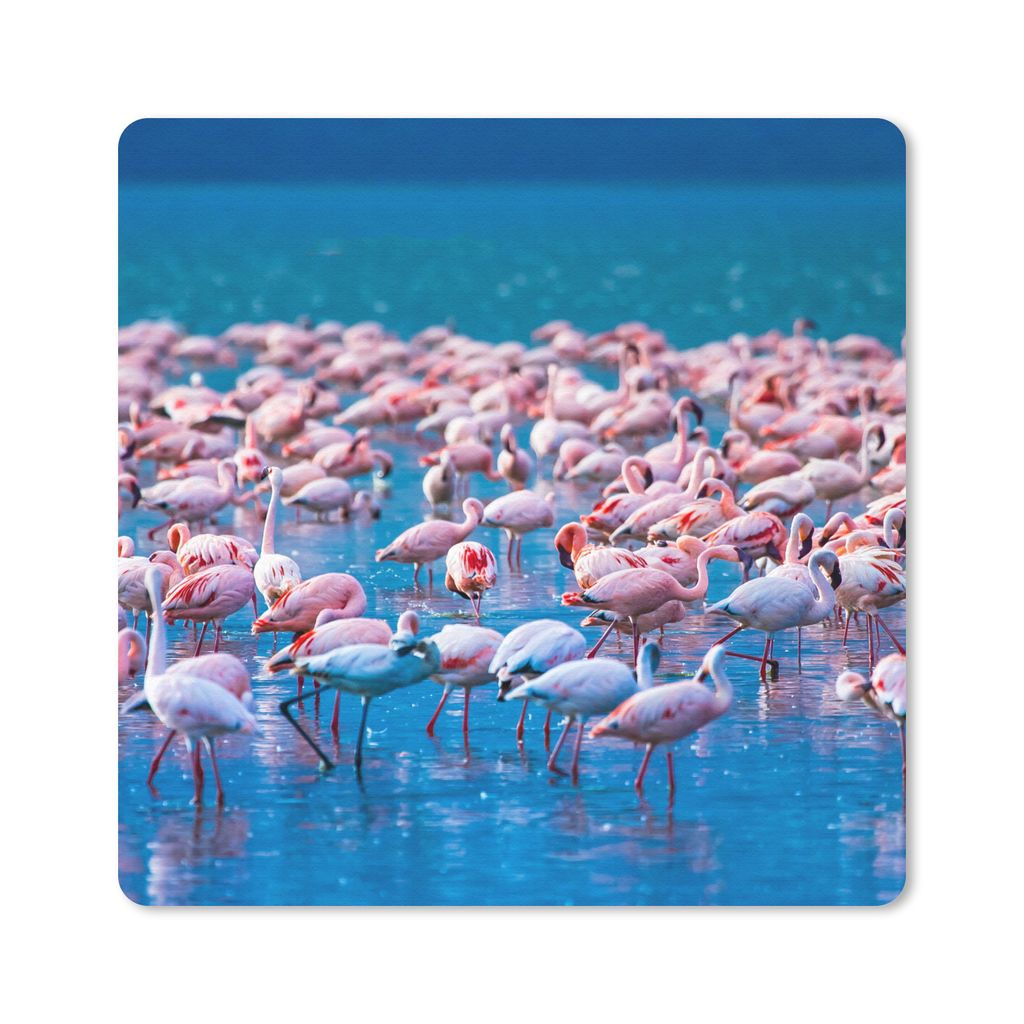 MuchoWow Mauspad Mousepad Flamingo - Wasser - Tropisch - Rosa 20x20 cm - Mousepads - Maus Mat - Pad - Mausunterlage - Desk Mat - Bureauartikeln