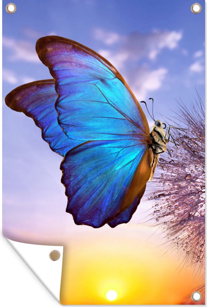 MuchoWow 60x90 cm Outdoor-Poster Gartendeko Sichtschutz Garten Poster für den Garten Schmetterling - Sonnenuntergang - Löwenzahn - Blau