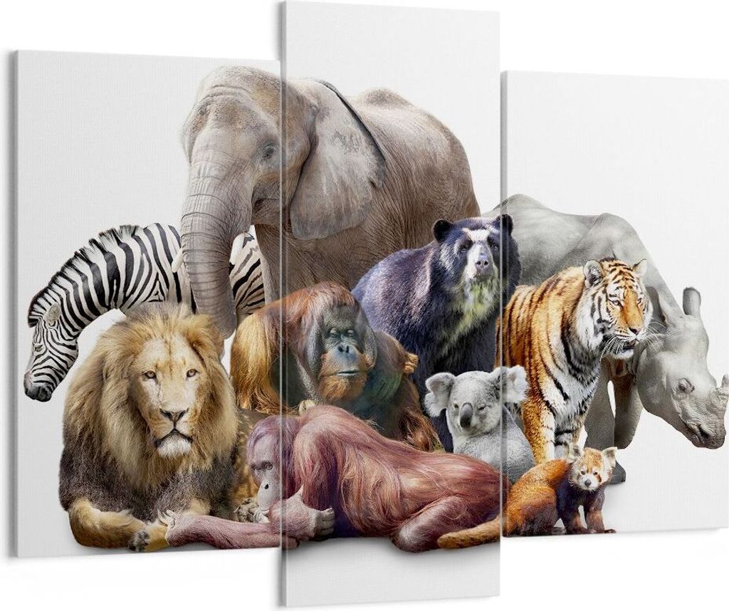 Bild auf Leinwand - Leinwandbild - Tiere Koala Löwe Affe - 130x100cm - Wand Bild - Wanddeko - Leinwanddruck - Bilder - Kunstdruck - Wanddekoration...