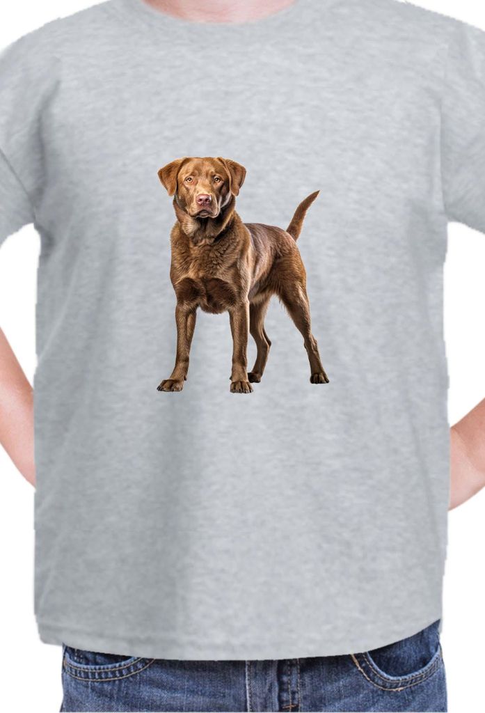 Kinder T-Shirt Dogs Breeds Chesapeake Bay Retriever Dog Breed 006, 7-8 Jahr - 128 / Grau