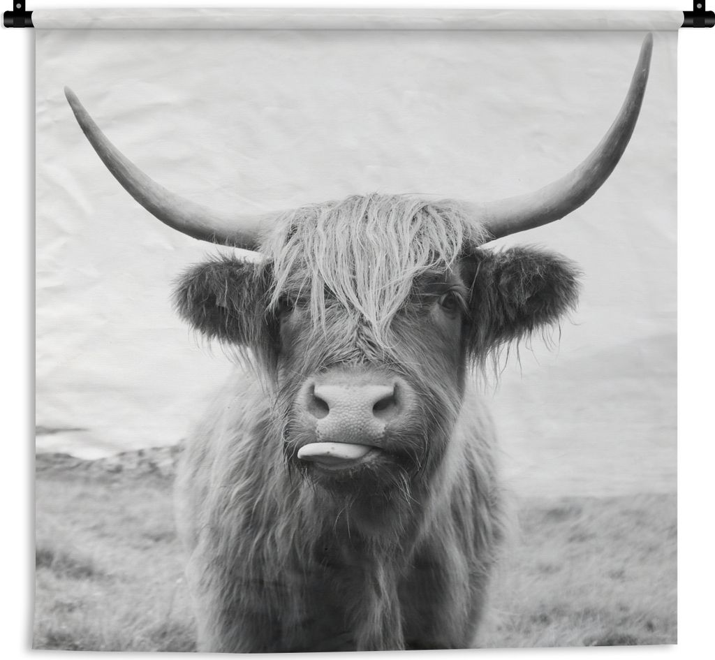 MuchoWow Wandteppich Wandbehang Tiere - Schottischer Highlander - Kuh - Schwarz - Weiß 150x150 cm Tapisserie Dekoration Wandtuch - Wohnaccessoir...