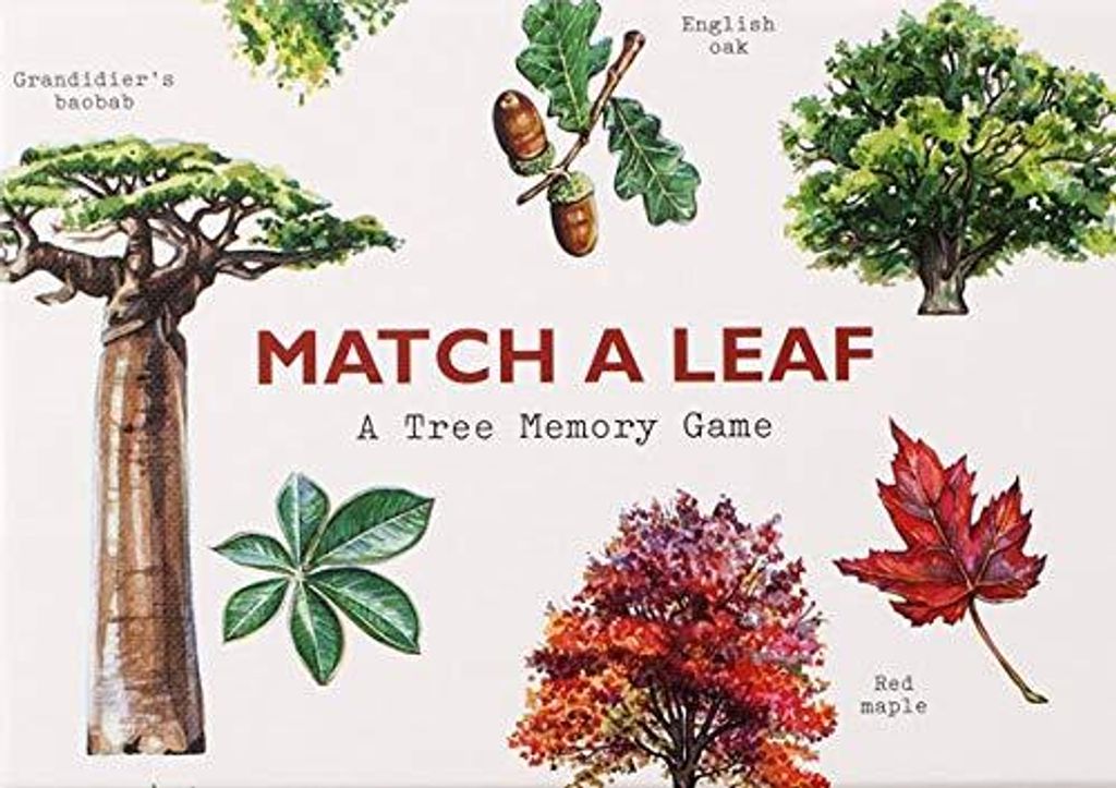 Match A Leaf – Lingua: Inglese