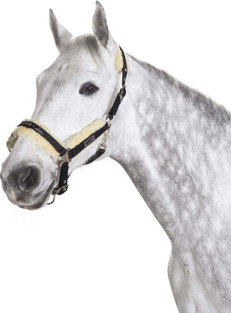 Eskadron Halfter Fell Glossy Faux Fur Basics Schwarz P2